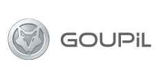 Goupil