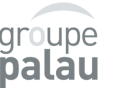 Logo du projet Groupe Palau 