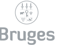 Logo du projet Ville de Bruges